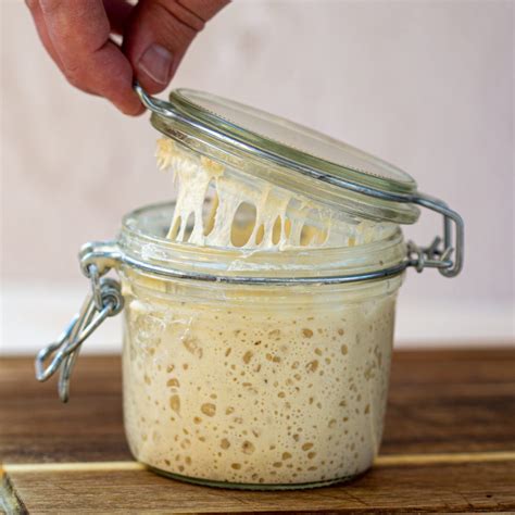 Sourdough Starter – Dan Beasley-Harling