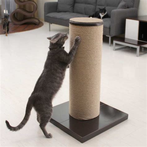 MaxScratch Oversized Cat Scratching Post and Perch - CatsPlay Superstore