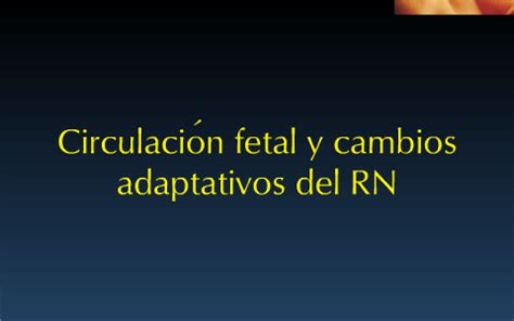 Circulación fetal y cambios circulatorios al nacer by Eddie Birman on Prezi