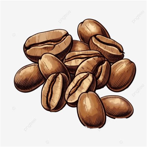 Coffee Bean Clipart, Coffee, Coffee Bean, Coffee Seed PNG Transparent ...