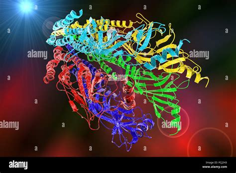 Acetylcholine receptor. Molecular model showing the structure of a ...