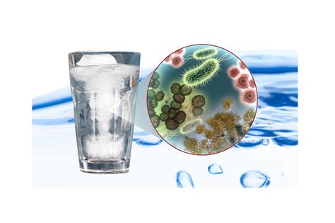 Bacteria in Your Water | Best Water Solutions in Gainesville, Ocala and North Florida