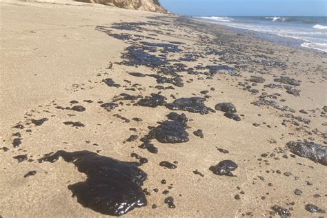 Leaks or Seeps? Big Tar Balls Abundant on Santa Barbara Beaches - The Santa Barbara Independent