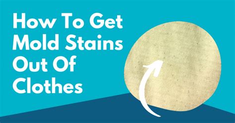 How To Get Mold Stains Out Of Clothes | Tidy Diary