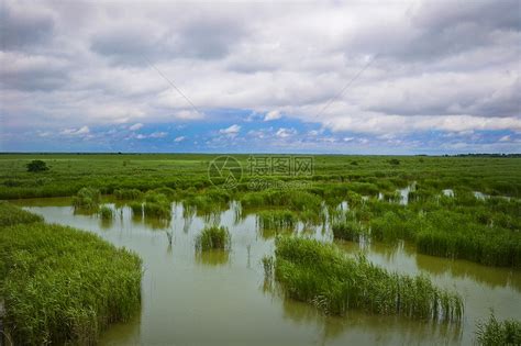 盐城大洋湾湿地风景区高清图片下载-正版图片501574843-摄图网