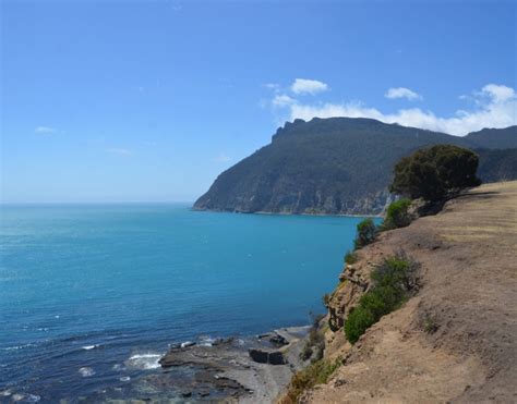 Fossil Cliffs Maria Island - Bushwalk Tasmania