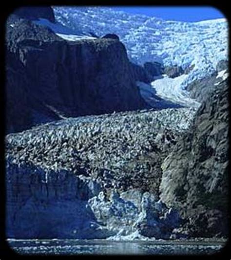 Kenai Fjords Tours - Alaska Glacier & Wildlife Cruises - Seward, Alaska