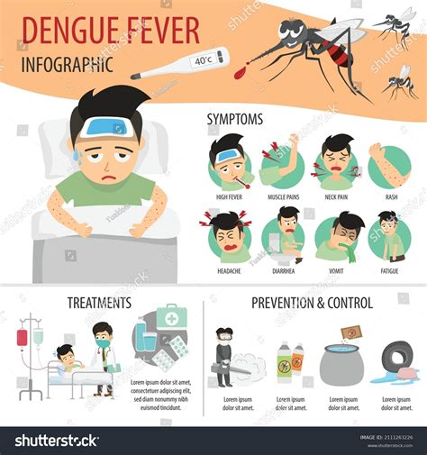 Dengue Fever Infographic Flat Health Care Stock Vector (Royalty Free ...