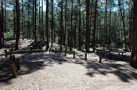 Fenton Lake State Park - Campsite Photos and Camping Info