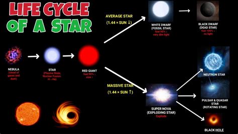 Life Cycle Of A White Dwarf Star