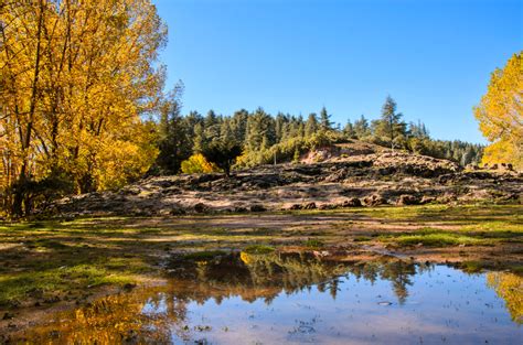 Ifrane National Park (Official GANP Park Page)