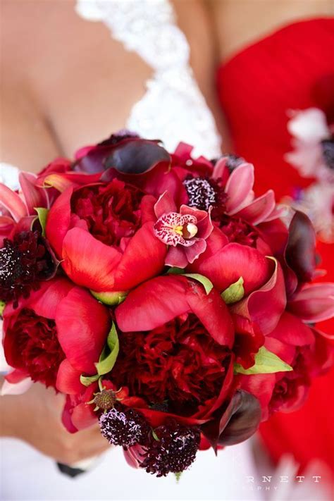 Beautiful red peonies bouquet image | Flower bouquet wedding, Red ...