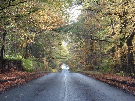 Autumn colours in Perthshire : Scotland