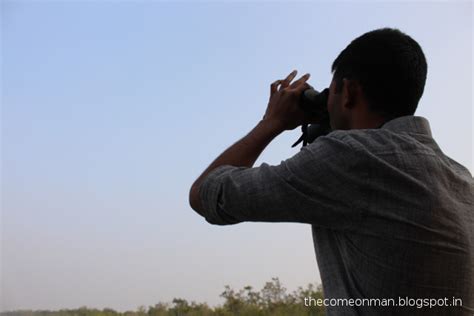 The Come On Man: Sundarbans, West Bengal, India