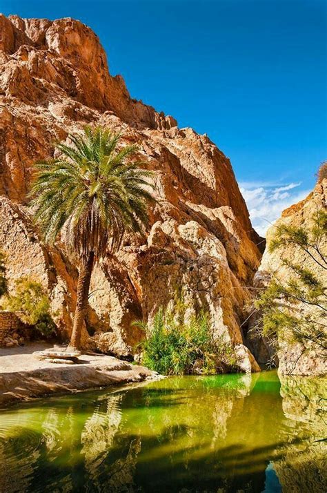 Chebika Oasis, Sahara Desert, Al-Qayrawan/Tunisia.﻿ | Tunisia, Travel ...