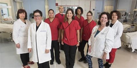 List of the Best Nursing Schools in Houston in 2023 Navigating the Path to Success: The Best ...