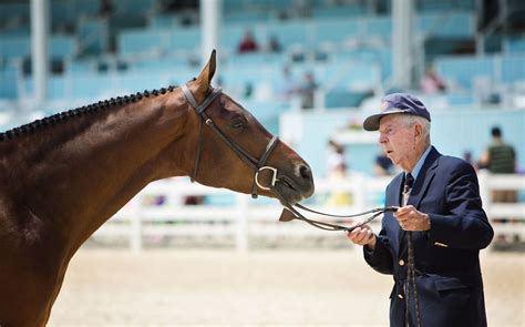 Photo Gallery - Devon Horse Show