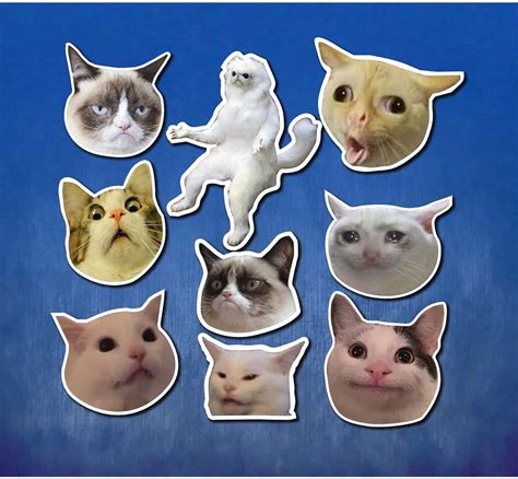 Cat Meme Sticker Pack, Cat Meme Sticker Set, Cat Meme Glossy Stickers ...