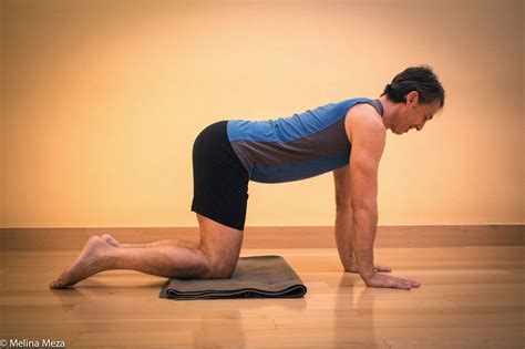 Marjariasana (Cat Stretch Pose) steps, precautions and benefits - Finessyoga