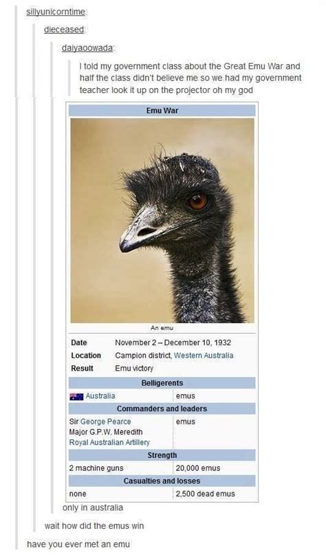 Tumblr Thread | Emu War | Know Your Meme