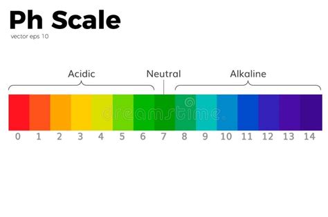 The pH scale stock vector. Illustration of color, balance - 100982841