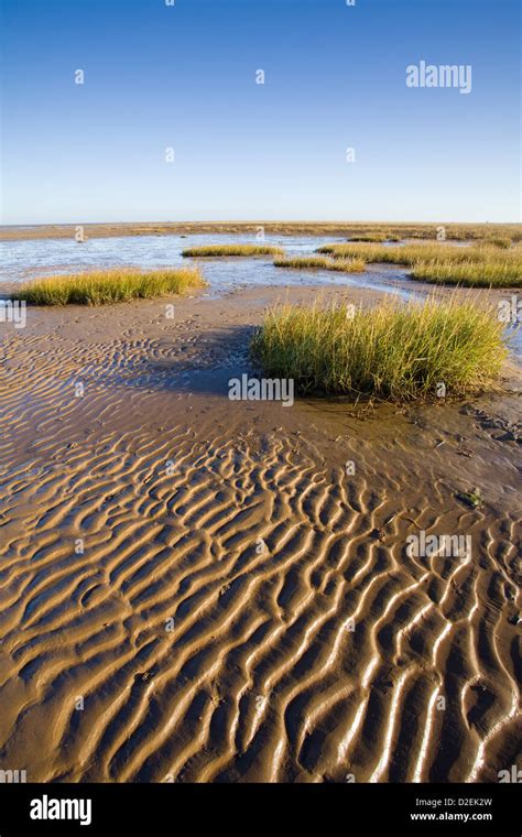 Humber estuary cleethorpes d2ek2w hi-res stock photography and images - Alamy