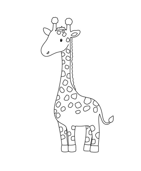 Cute giraffe in line style. Drawing african baby wild animal isolated on white background ...