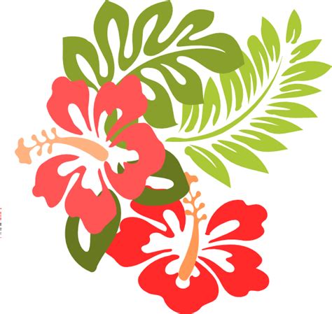 Hawaiian Luau Aloha Flower Transparent PNG | PNG Mart