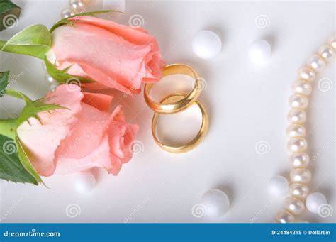 Wedding Ring & Rose Royalty Free Stock Photo - Image: 24484215