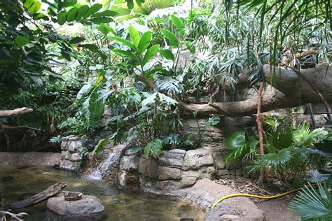 Cleveland Metroparks Zoo RainForest - Cleveland, Ohio | Flickr