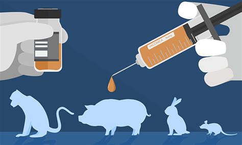 Exploring alternatives to animal testing in drug discovery