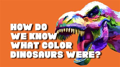 How Do We Know What Color Dinosaurs Were? - Dino Kidz