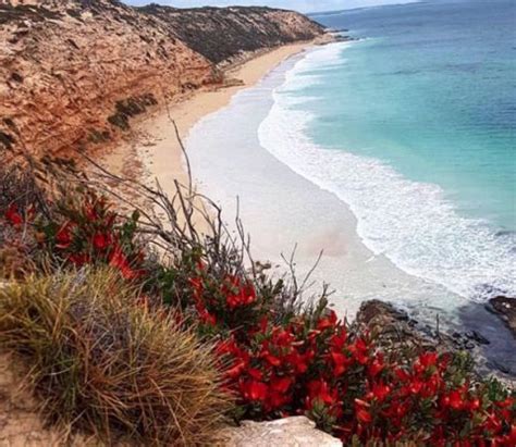 Lincoln National Park. Near Port Lincoln, South Australia #campervan # ...