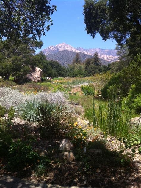 Santa Barbara Botanic Garden - 230 Photos - Botanical Gardens - Santa ...