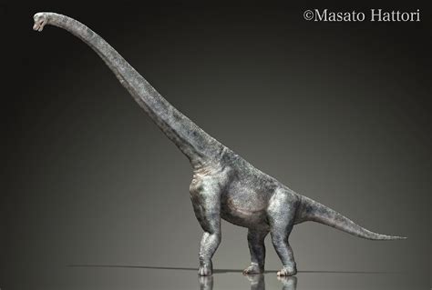 Sauroposeidon Pictures & Facts - The Dinosaur Database