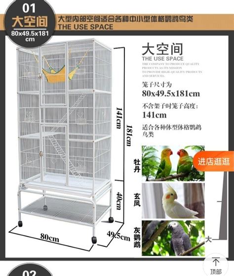 Big size bird cage, Pet Supplies, Homes & Other Pet Accessories on ...