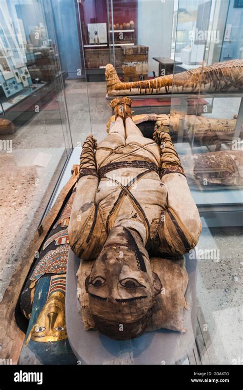 England,London,British Museum,Exhibit of Egyptian Mummies Stock Photo ...