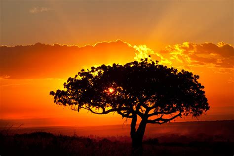 Beautiful African Wallpaper in HD - WallpaperSafari