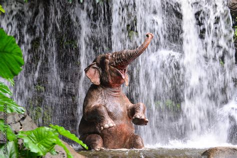 Elephant is bathing at the waterfall Stock-Foto | Adobe Stock