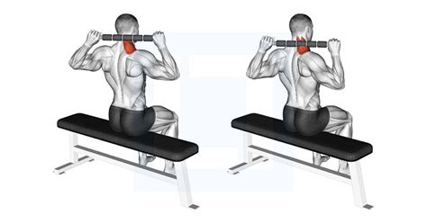 Weighted Lying Neck Flexion - Guide, Benefits, and Form