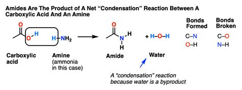 Amide Hydrolysis Using Acid Or Base – Master Organic Chemistry