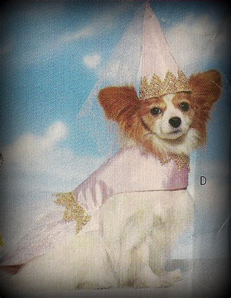 Pretty Pink Princess Dog Costume by HouseOfZuehl on Etsy