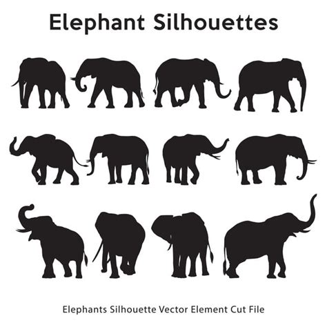 Elephant Silhouette PNG Images, Elephant Silhouettes Collection, Silhouette, Animal, Vector PNG ...