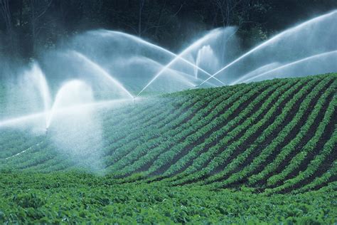 Irrigated Lands | lcfb