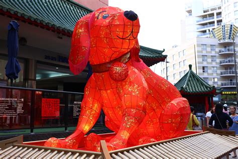 Year of the Dog lantern - Sydney Chinese New Year 2016 | Flickr