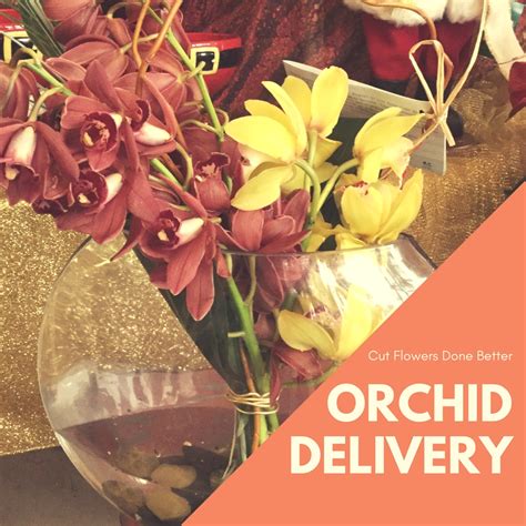 What You Should Know Before Ordering Your Orchid Delivery - Enchanted Florist Pasadena