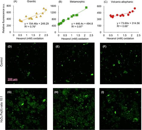 (A-C) Relationship between hexanol oxidation and relative fluorescence... | Download Scientific ...