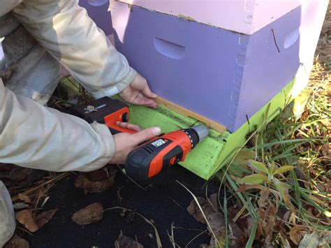 Tutorial (3): Beekeeping Equipment | Hudsonville Honey