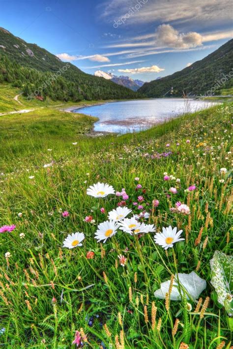 Alpine lake in Italian Alps — Stock Photo © svariophoto #73843359