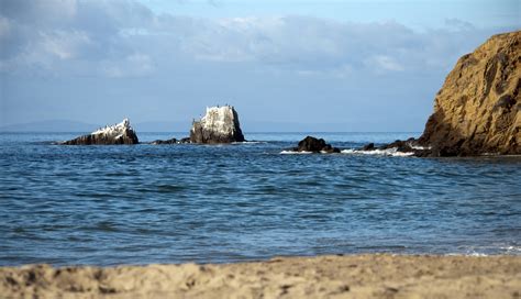 Seal Rocks Laguna Beach Free Stock Photo - Public Domain Pictures